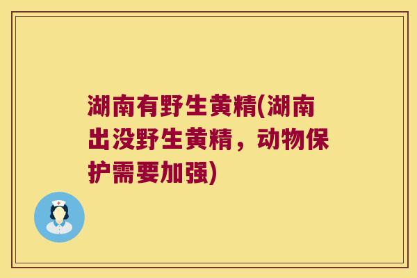 湖南有野生黄精(湖南出没野生黄精，动物保护需要加强)