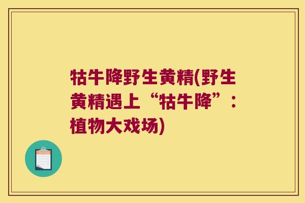 牯牛降野生黄精(野生黄精遇上“牯牛降”:植物大戏场) 牯牛降野生黄精(野生黄精遇上“牯牛降”:植物大戏场)
