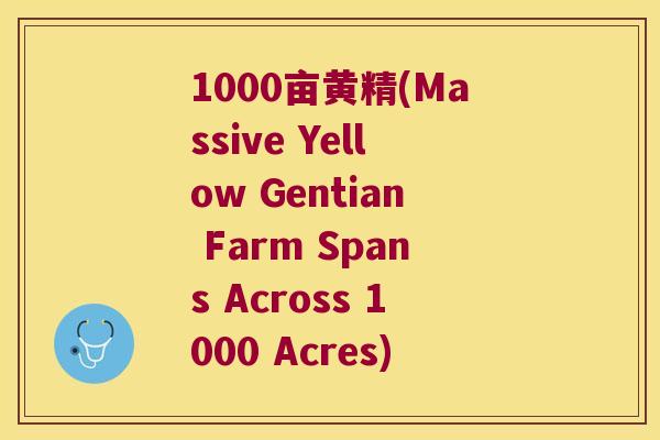 1000亩黄精(Massive Yellow Gentian Farm Spans Across 1000 Acres) 1000亩黄精(Massive Yellow Gentian Farm Spans Across 1000 Acres)