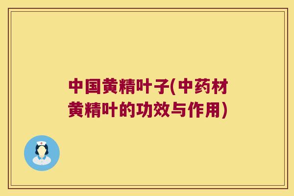 中国黄精叶子(材黄精叶的功效与作用) 中国黄精叶子(材黄精叶的功效与作用)