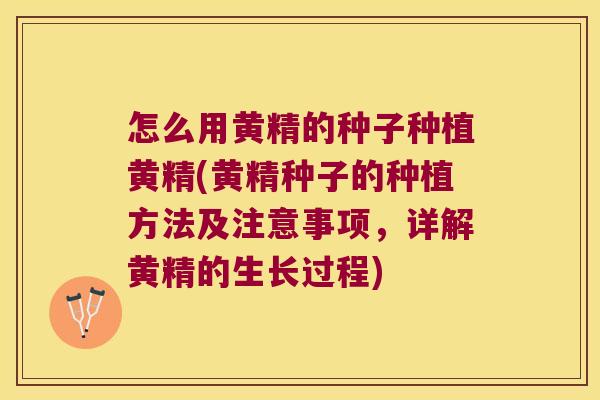 怎么用黄精的种子种植黄精(黄精种子的种植方法及注意事项,详解黄精的生长过程) 怎么用黄精的种子种植黄精(黄精种子的种植方法及注意事项,详解黄精的生长过程)