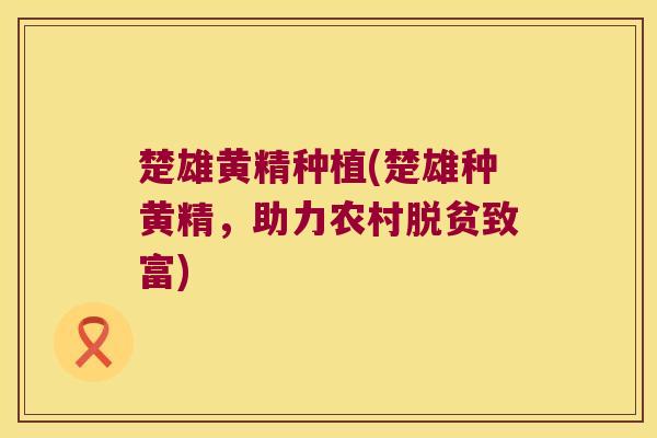 楚雄黄精种植(楚雄种黄精，助力农村脱贫致富)