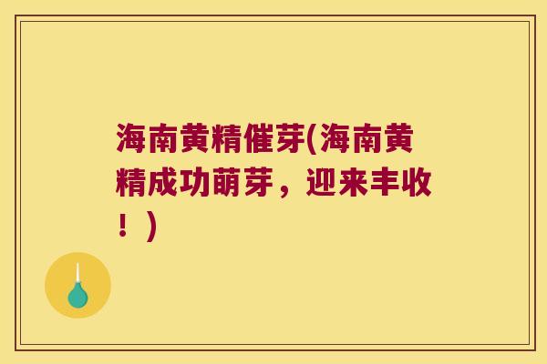 海南黄精催芽(海南黄精成功萌芽，迎来丰收！)