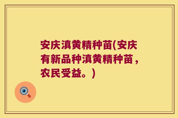 安庆滇黄精种苗(安庆有新品种滇黄精种苗，农民受益。)