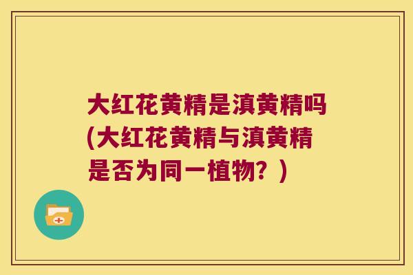 大红花黄精是滇黄精吗(大红花黄精与滇黄精是否为同一植物？)