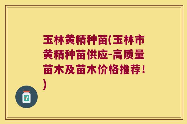 玉林黄精种苗(玉林市黄精种苗供应-高质量苗木及苗木价格推荐！)