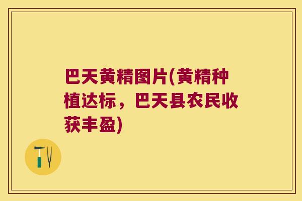 巴天黄精图片(黄精种植达标，巴天县农民收获丰盈)