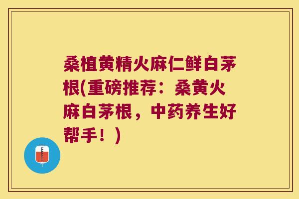 桑植黄精火麻仁鲜白茅根(重磅推荐：桑黄火麻白茅根，养生好帮手！)