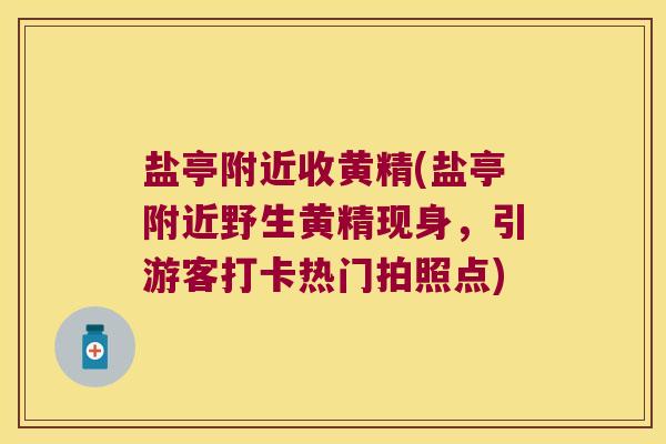 盐亭附近收黄精(盐亭附近野生黄精现身,引游客打卡热门拍照点) 盐亭附近收黄精(盐亭附近野生黄精现身,引游客打卡热门拍照点)