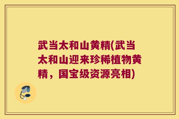 武当太和山黄精(武当太和山迎来珍稀植物黄精，国宝级资源亮相)