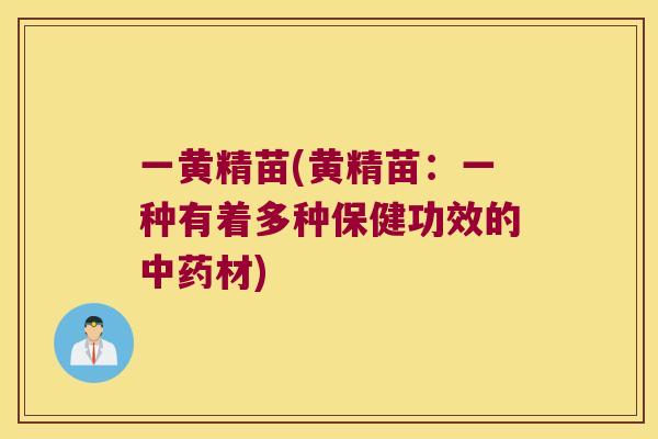 一黄精苗(黄精苗:一种有着多种保健功效的材) 一黄精苗(黄精苗:一种有着多种保健功效的材)