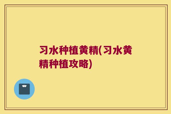 习水种植黄精(习水黄精种植攻略)