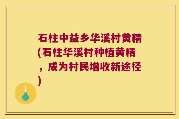 石柱中益乡华溪村黄精(石柱华溪村种植黄精,成为村民增收新途径) 石柱中益乡华溪村黄精(石柱华溪村种植黄精,成为村民增收新途径)