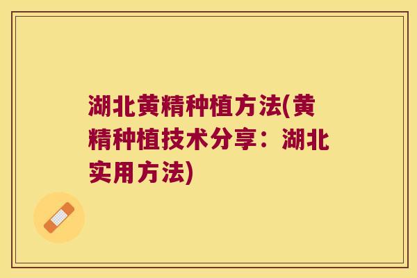 湖北黄精种植方法(黄精种植技术分享：湖北实用方法)