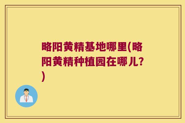 略阳黄精基地哪里(略阳黄精种植园在哪儿？)