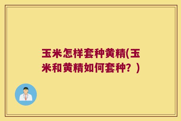 玉米怎样套种黄精(玉米和黄精如何套种?) 玉米怎样套种黄精(玉米和黄精如何套种?)