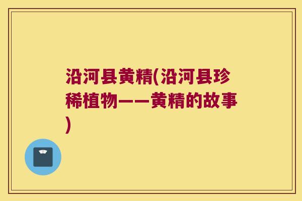 沿河县黄精(沿河县珍稀植物——黄精的故事) 沿河县黄精(沿河县珍稀植物——黄精的故事)