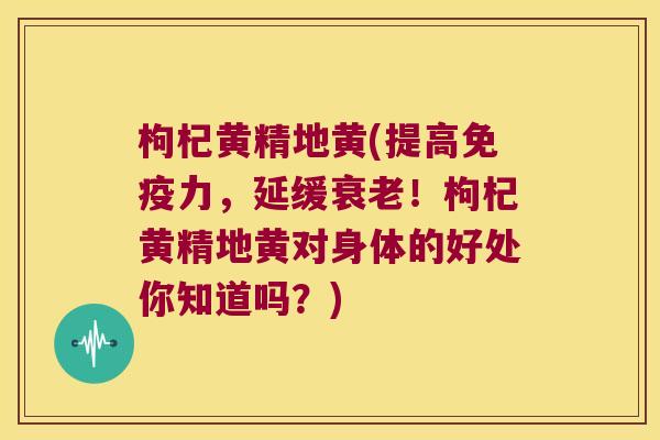 枸杞黄精地黄(提高力，延缓！枸杞黄精地黄对身体的好处你知道吗？)