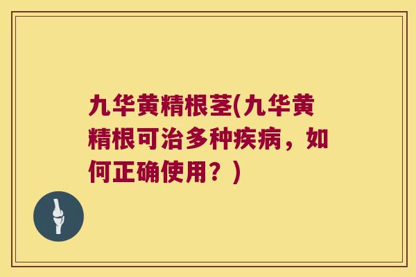 九华黄精根茎(九华黄精根可多种，如何正确使用？)
