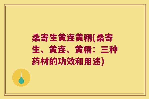 桑寄生黄连黄精(桑寄生、黄连、黄精:三种药材的功效和用途) 桑寄生黄连黄精(桑寄生、黄连、黄精:三种药材的功效和用途)