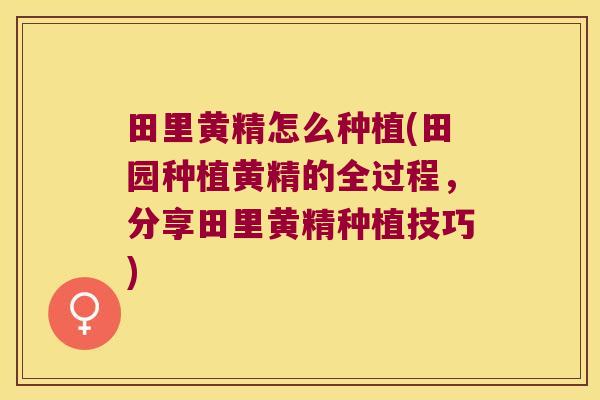 田里黄精怎么种植(田园种植黄精的全过程，分享田里黄精种植技巧)