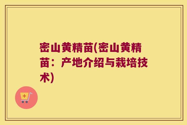 密山黄精苗(密山黄精苗：产地介绍与栽培技术)