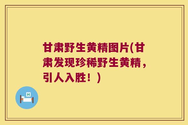 甘肃野生黄精图片(甘肃发现珍稀野生黄精,引人入胜!) 甘肃野生黄精图片(甘肃发现珍稀野生黄精,引人入胜!)