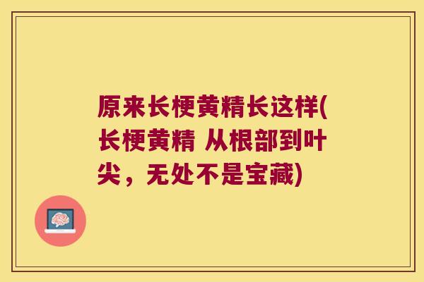 原来长梗黄精长这样(长梗黄精 从根部到叶尖，无处不是宝藏)
