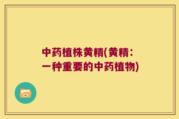 植株黄精(黄精：一种重要的植物)