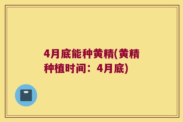 4月底能种黄精(黄精种植时间：4月底)
