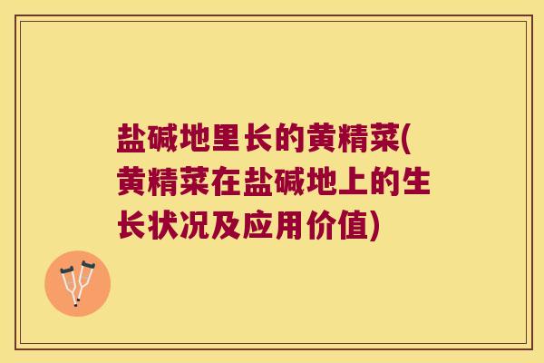 盐碱地里长的黄精菜(黄精菜在盐碱地上的生长状况及应用价值) 盐碱地里长的黄精菜(黄精菜在盐碱地上的生长状况及应用价值)