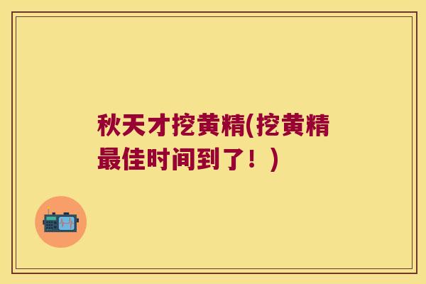 秋天才挖黄精(挖黄精佳时间到了！)