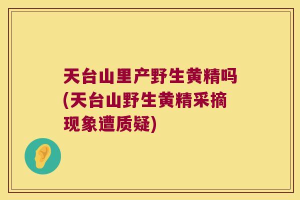 天台山里产野生黄精吗(天台山野生黄精采摘现象遭质疑)
