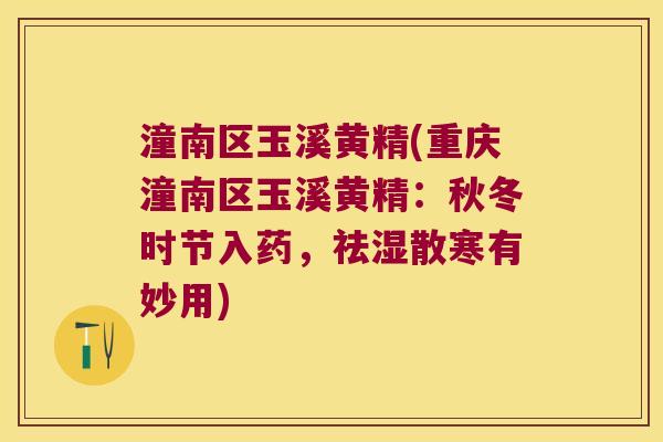 潼南区玉溪黄精(重庆潼南区玉溪黄精:秋冬时节入药,祛湿散寒有妙用) 潼南区玉溪黄精(重庆潼南区玉溪黄精:秋冬时节入药,祛湿散寒有妙用)