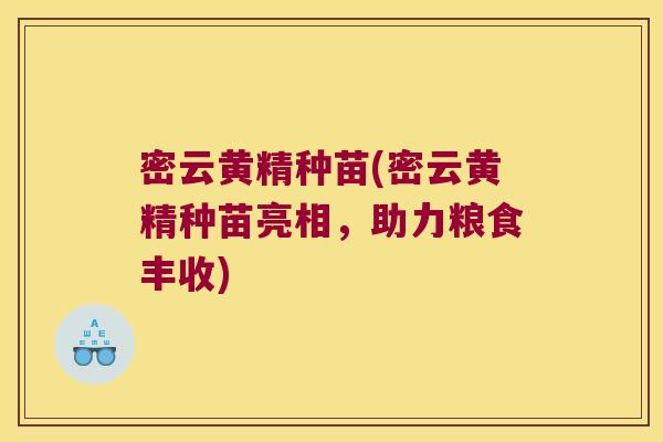 密云黄精种苗(密云黄精种苗亮相,助力粮食丰收) 密云黄精种苗(密云黄精种苗亮相,助力粮食丰收)