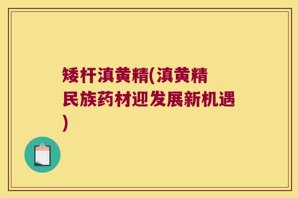 矮杆滇黄精(滇黄精 民族药材迎发展新机遇) 矮杆滇黄精(滇黄精 民族药材迎发展新机遇)