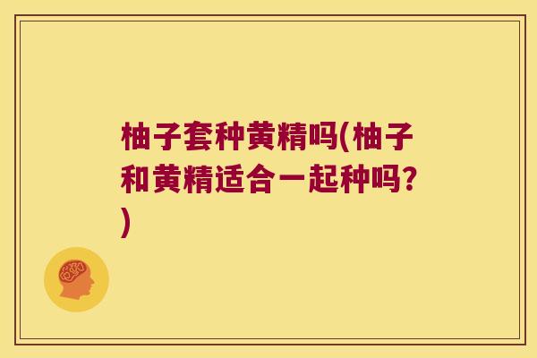 柚子套种黄精吗(柚子和黄精适合一起种吗？)