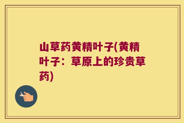 山草药黄精叶子(黄精叶子:草原上的珍贵草药) 山草药黄精叶子(黄精叶子:草原上的珍贵草药)