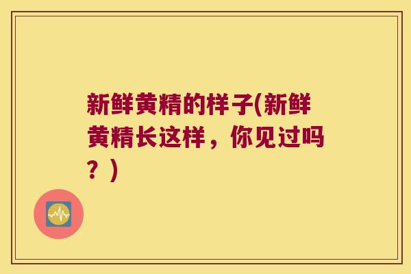 新鲜黄精的样子(新鲜黄精长这样，你见过吗？)