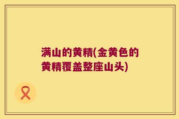 满山的黄精(金黄色的黄精覆盖整座山头) 满山的黄精(金黄色的黄精覆盖整座山头)