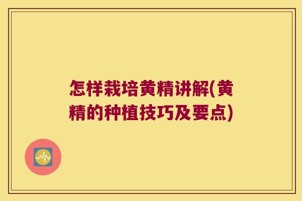 怎样栽培黄精讲解(黄精的种植技巧及要点)