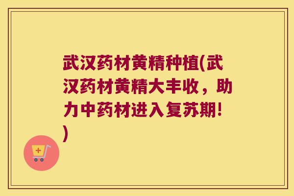 武汉药材黄精种植(武汉药材黄精大丰收，助力材进入复苏期!)