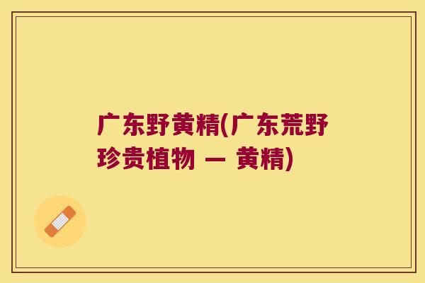 广东野黄精(广东荒野珍贵植物 — 黄精)