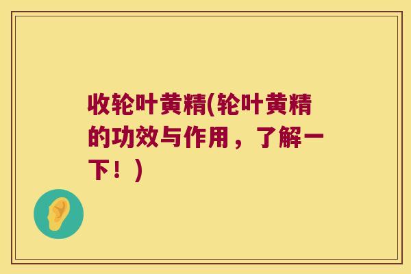 收轮叶黄精(轮叶黄精的功效与作用，了解一下！)