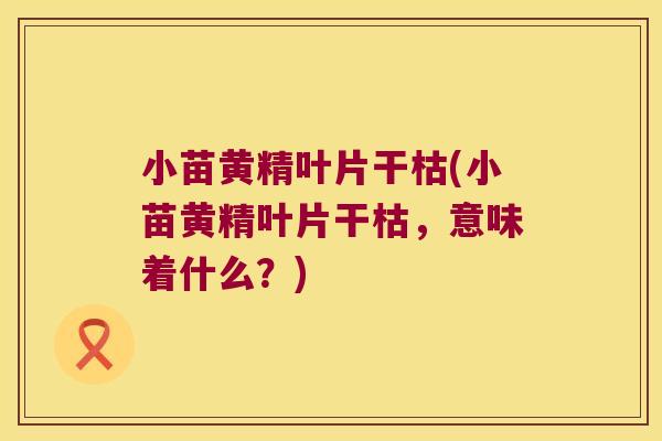 小苗黄精叶片干枯(小苗黄精叶片干枯，意味着什么？)