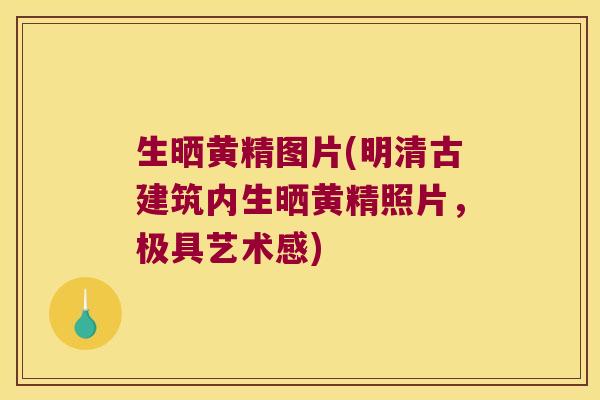 生晒黄精图片(明清古建筑内生晒黄精照片,极具艺术感) 生晒黄精图片(明清古建筑内生晒黄精照片,极具艺术感)