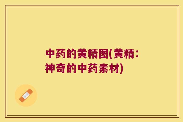 的黄精图(黄精:神奇的素材) 的黄精图(黄精:神奇的素材)