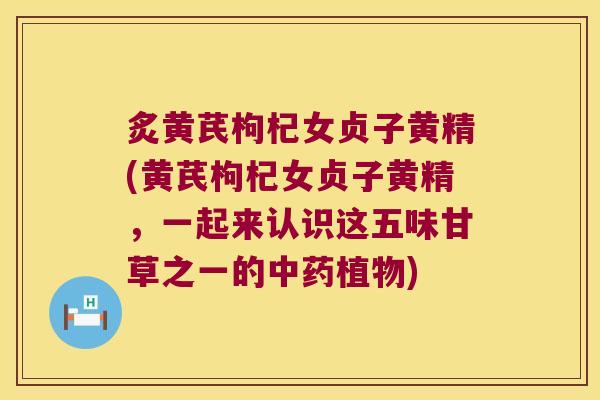 炙黄芪枸杞女贞子黄精(黄芪枸杞女贞子黄精,一起来认识这五味甘草之一的植物) 炙黄芪枸杞女贞子黄精(黄芪枸杞女贞子黄精,一起来认识这五味甘草之一的植物)