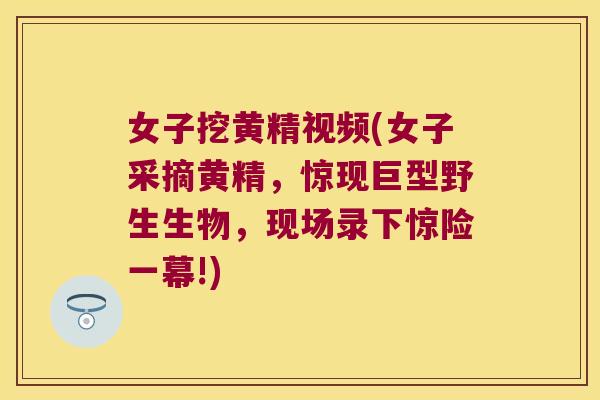 女子挖黄精视频(女子采摘黄精,惊现巨型野生生物,现场录下惊险一幕!) 女子挖黄精视频(女子采摘黄精,惊现巨型野生生物,现场录下惊险一幕!)