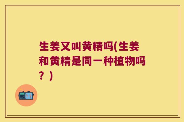 生姜又叫黄精吗(生姜和黄精是同一种植物吗？)